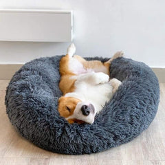 ð¥Comfy Calming Dog/Cat Bed