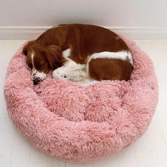 ð¥Comfy Calming Dog/Cat Bed
