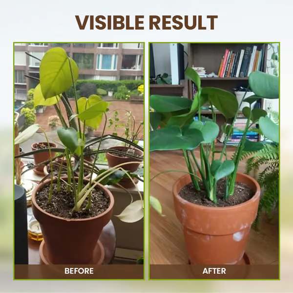 🔥Limited Sale - BUY 1 GET 1 FREE🔥Soil Improvement Loosening Agent