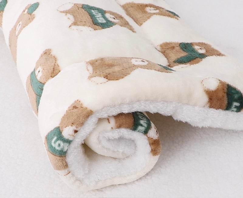 🔥Limited stock available 50% OFF🔥🐾Hot Sale BUY 1 GET 1 FREE🐱2025 New Upgraded Super Cosy Calming Pet Blanket