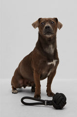 DOG ROPE BALL TOY