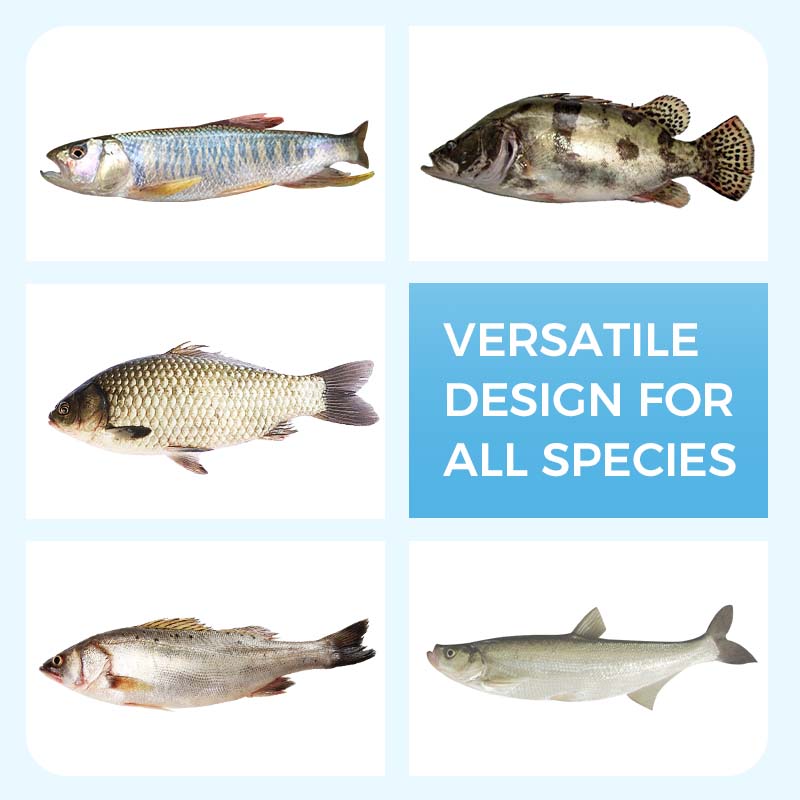 🔥Limited stock available 50% OFF🔥Soft Floating Worm Lure Bait for Fishing🎣